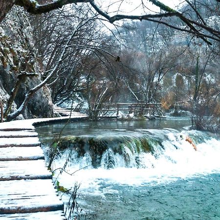 Guesthouse Nikola Plitvička Jezera Esterno foto