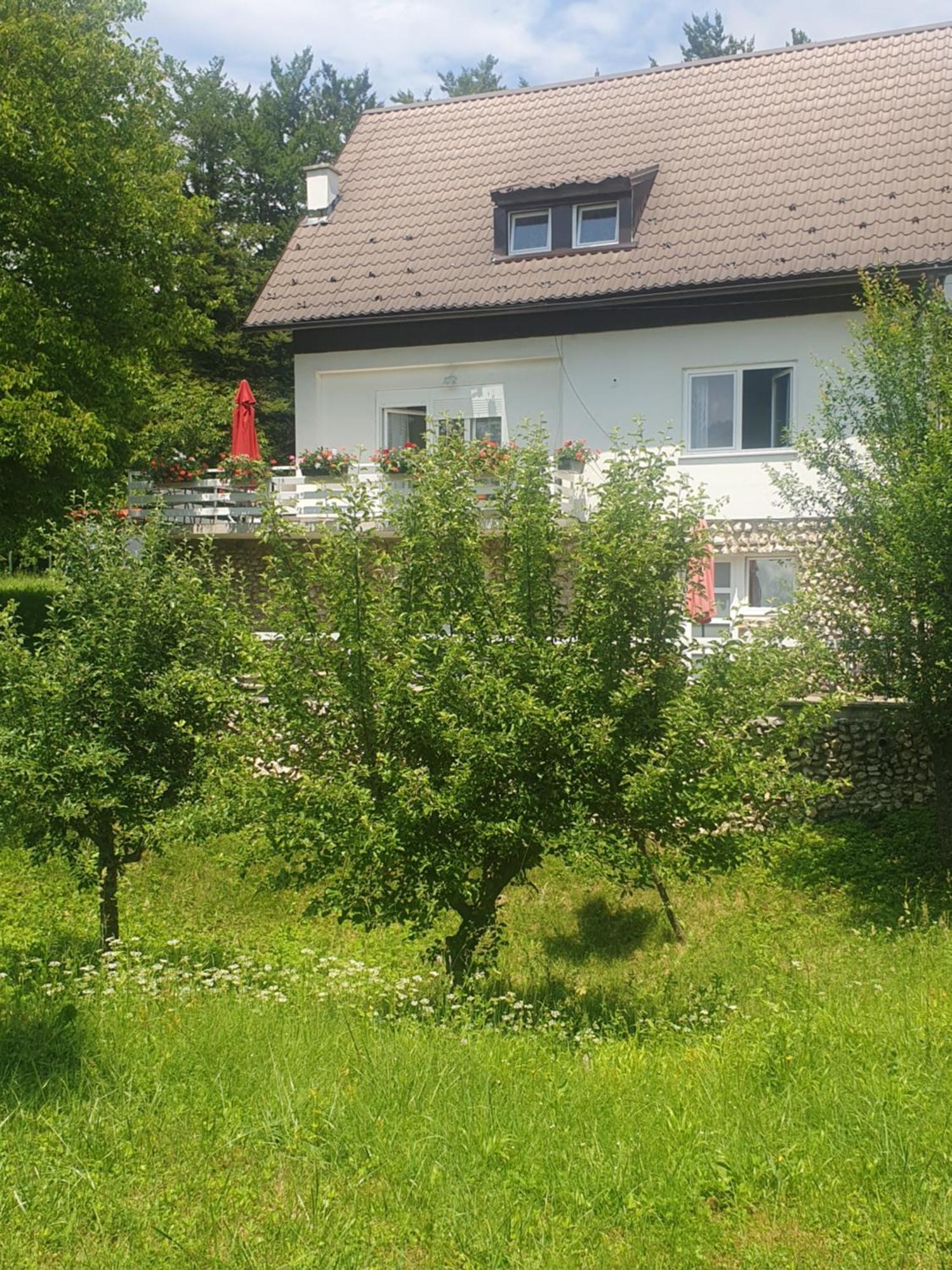 Guesthouse Nikola Plitvička Jezera Esterno foto