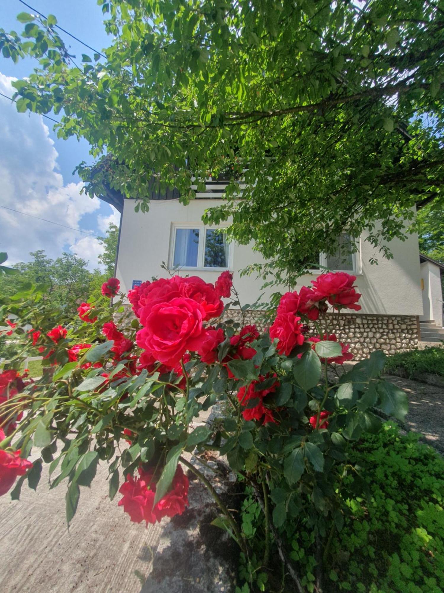 Guesthouse Nikola Plitvička Jezera Esterno foto