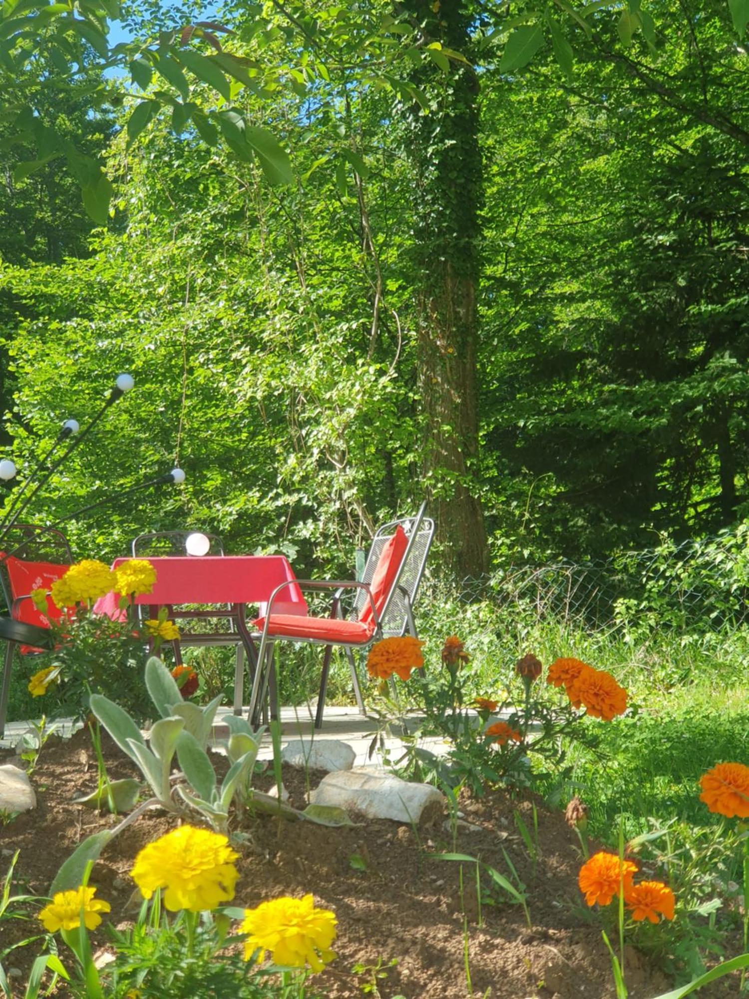 Guesthouse Nikola Plitvička Jezera Esterno foto