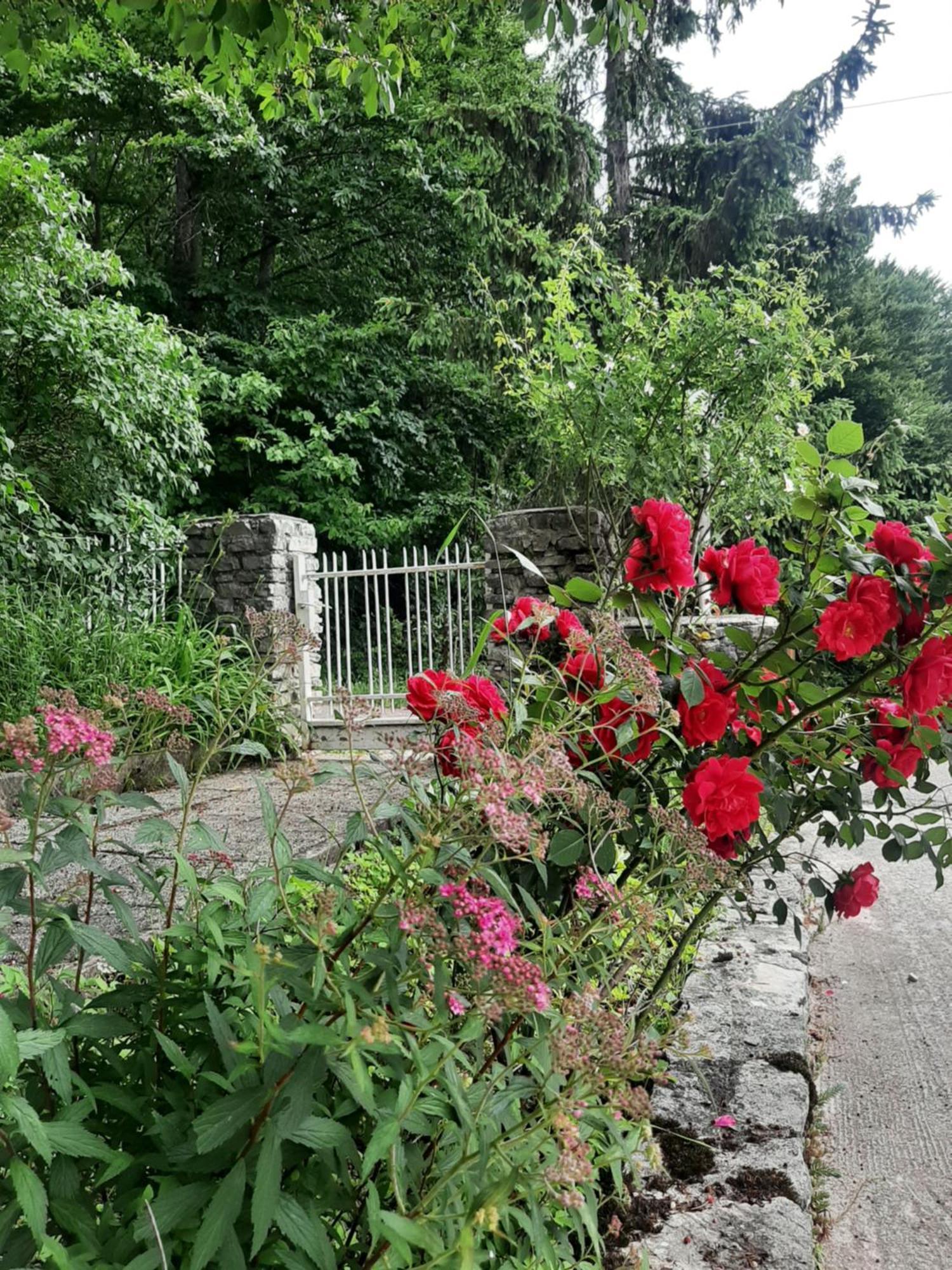 Guesthouse Nikola Plitvička Jezera Esterno foto