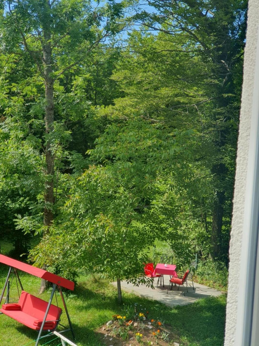 Guesthouse Nikola Plitvička Jezera Esterno foto