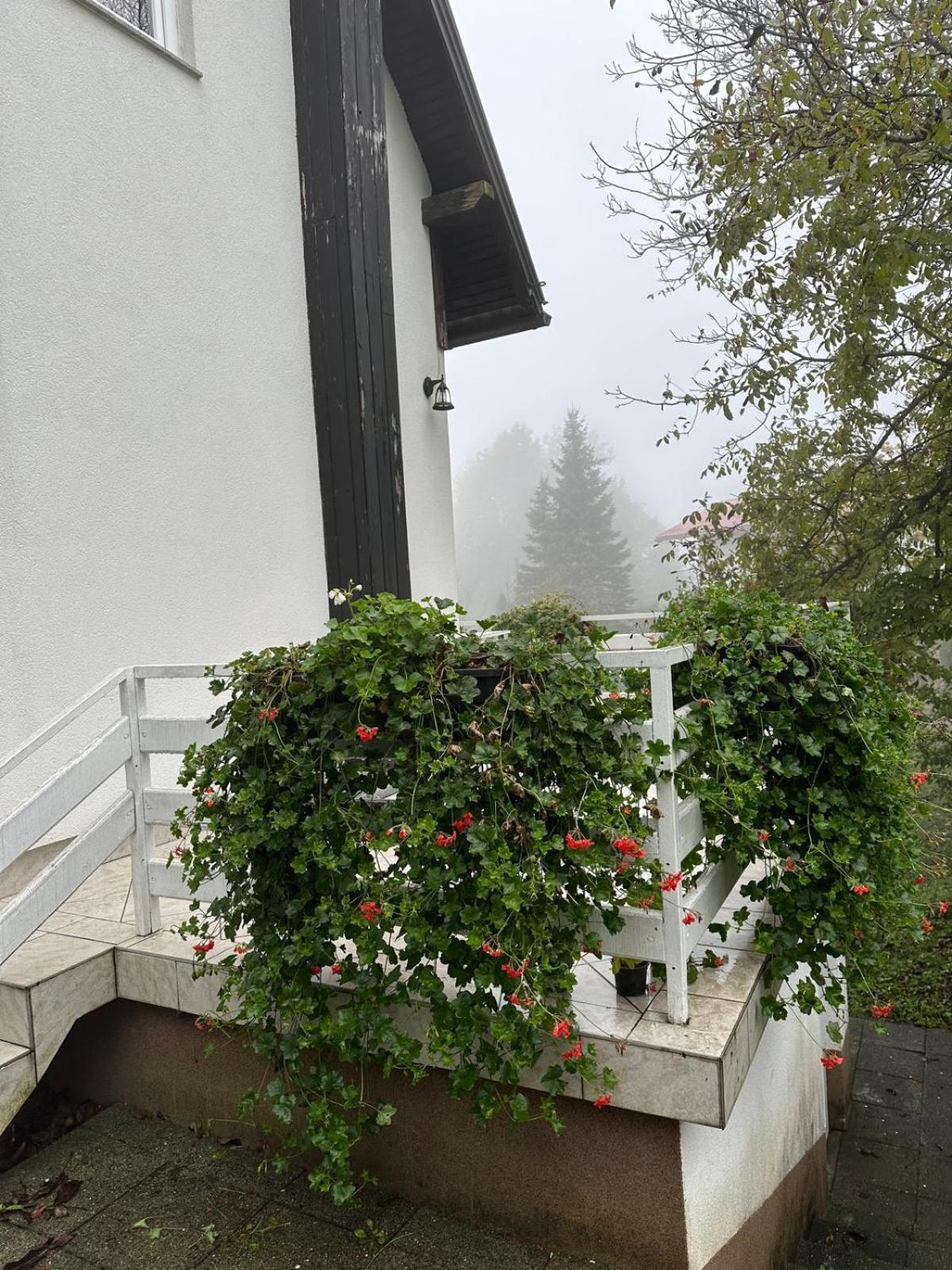 Guesthouse Nikola Plitvička Jezera Esterno foto