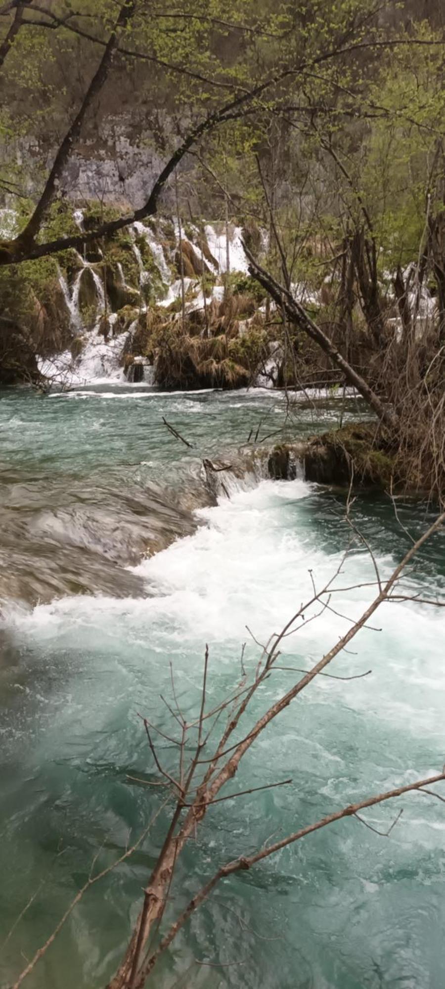 Guesthouse Nikola Plitvička Jezera Esterno foto