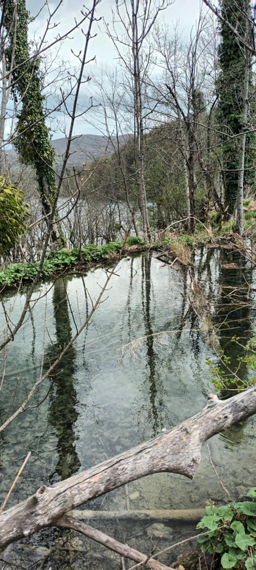 Guesthouse Nikola Plitvička Jezera Esterno foto